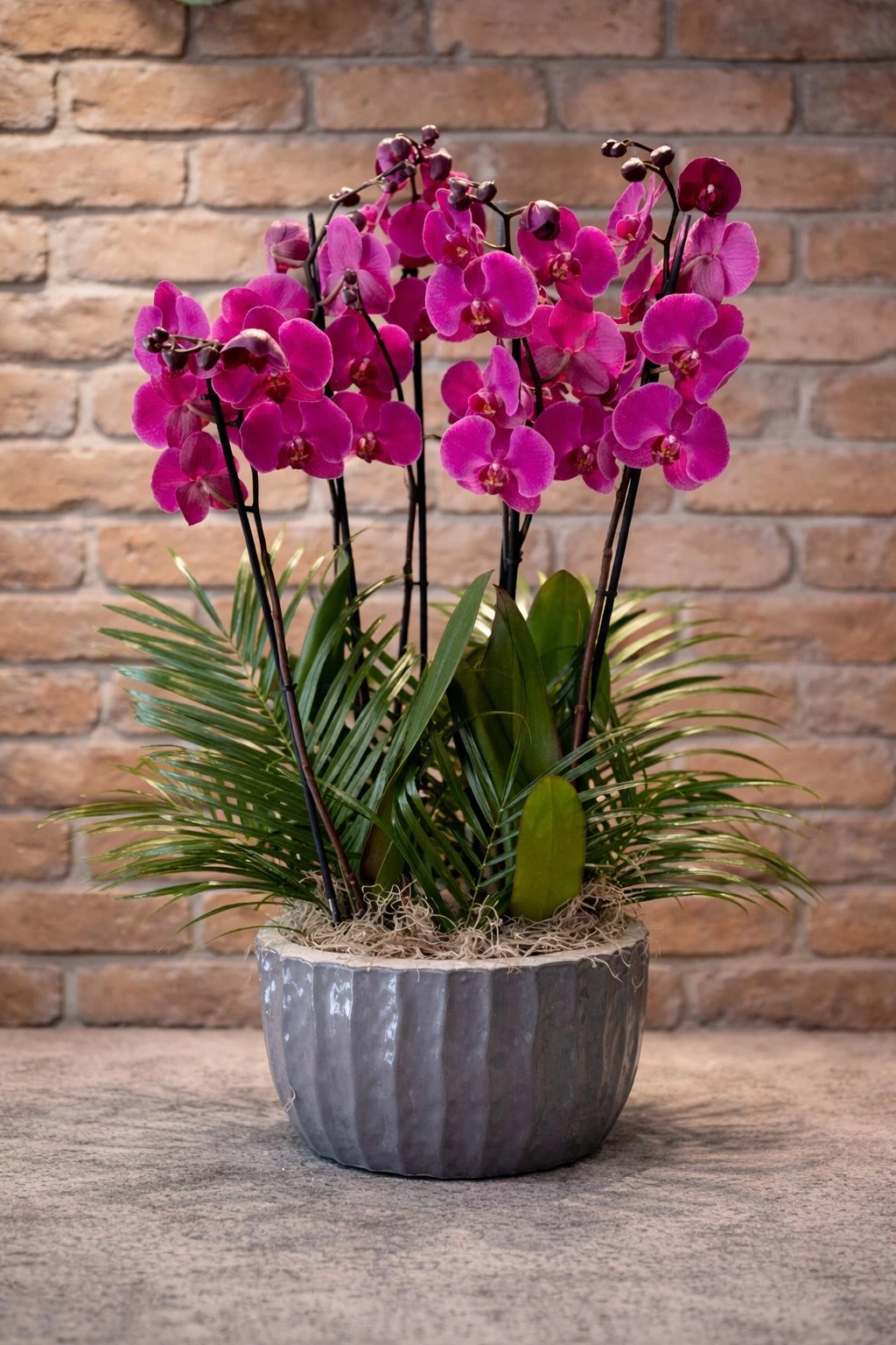 Mor Orkide Aranjmanı