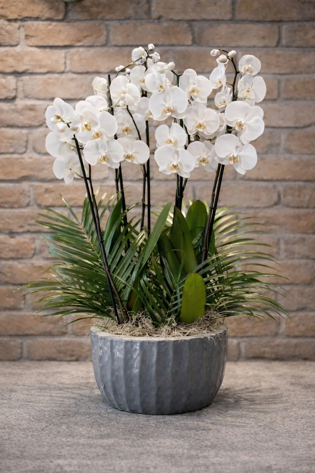 Beyaz Orkide Aranjmanı