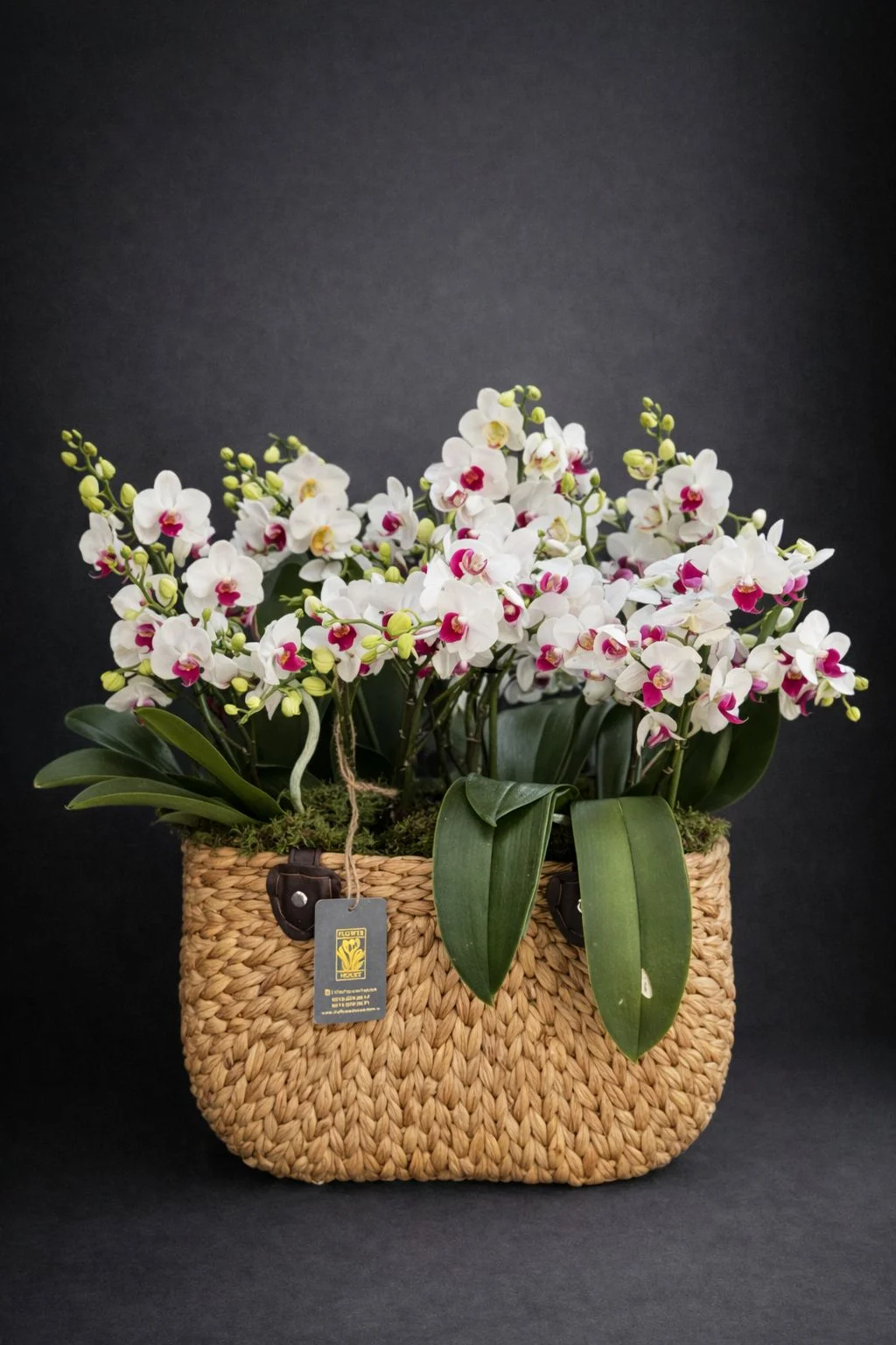 Çanta Sepette Orkide