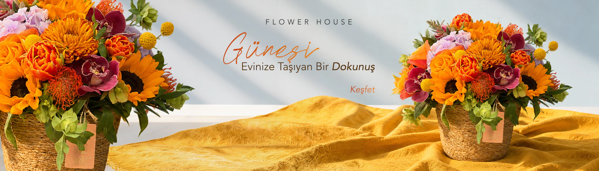 Ay Çiçeği