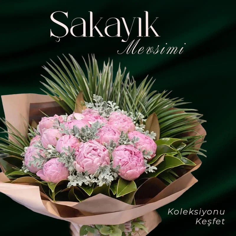 Şakayık